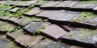 Bryn Iwan roof repair costs